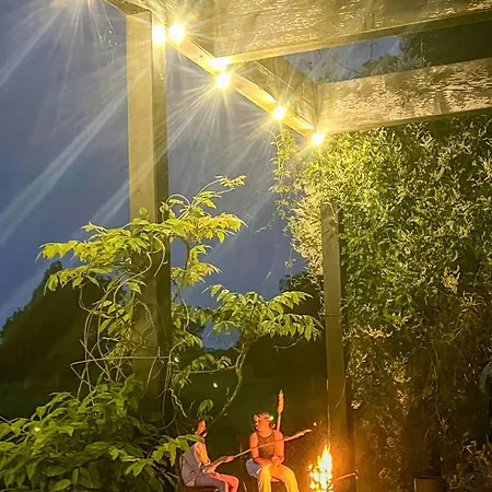 Wooden Near The Baltic Sea *