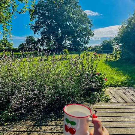 Wooden Near The Baltic Sea * Lensahn