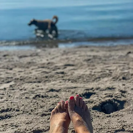 Hébergement de vacances Wooden Near The Baltic Sea Lensahn